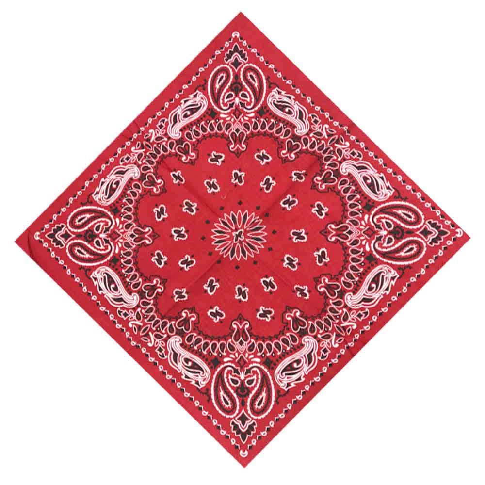 Handkerchief Cotton Men - 남성용 55cm x 55cm 페이즐리 무늬